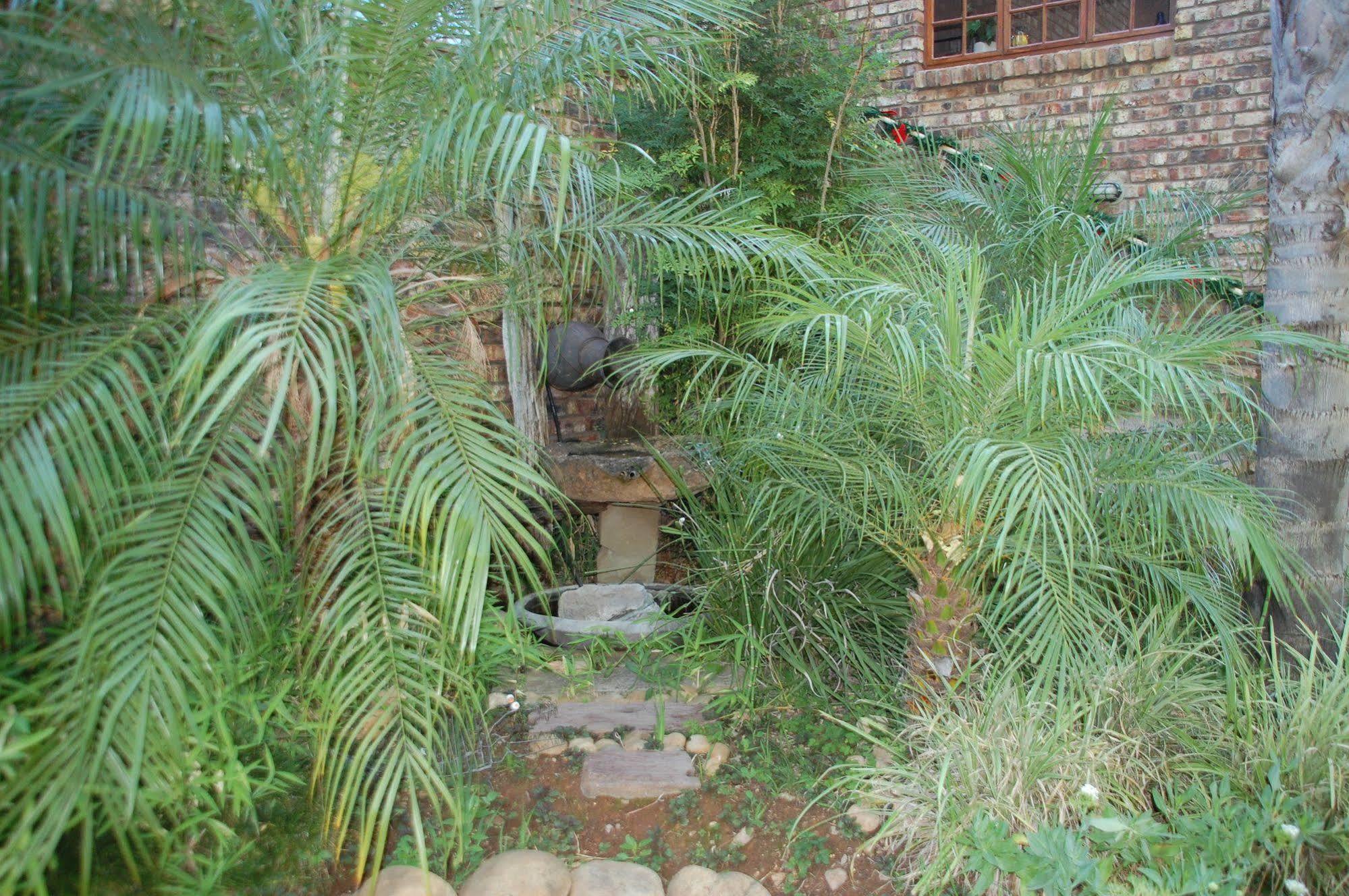De Poort Country * Oudtshoorn